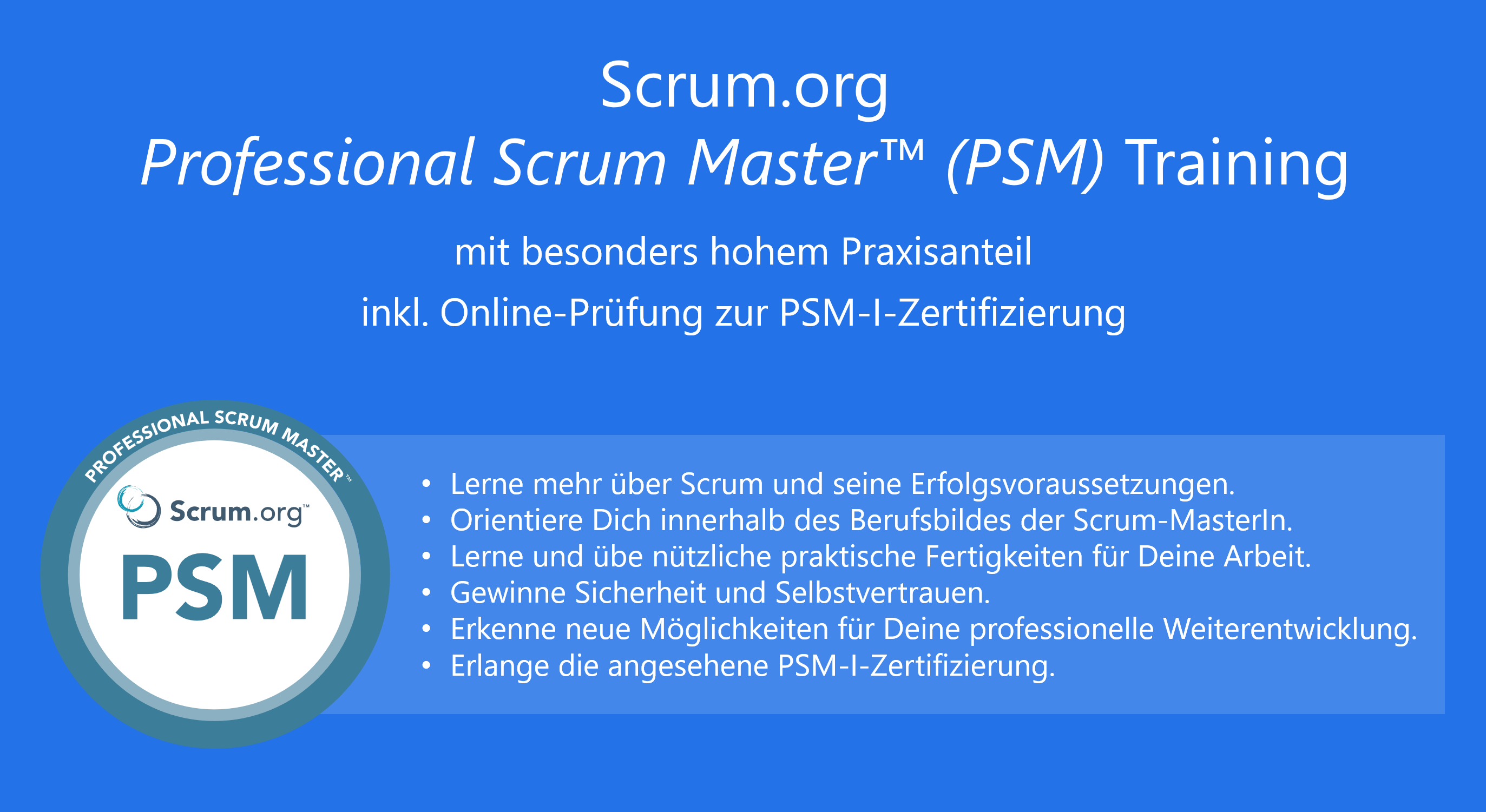 Professional Scrum Master